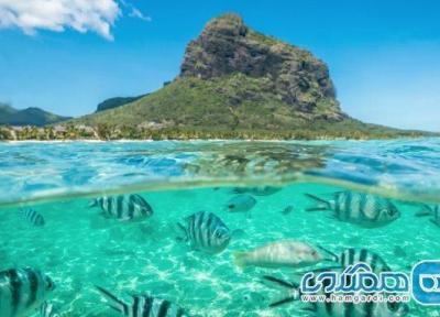 تور جزیره موریس نوروز 1405: از جنگل های استوایی تا ساحل های رویایی تور جزیره موریس نوروز 1405: از جنگل های استوایی تا ساحل های رویایی