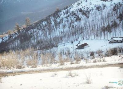 پیوند جنگل و دریا در ساحل گیسوم